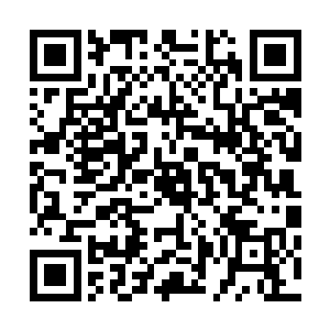 云逸温柔地抚摸着躺在他手臂之上那长胖了不止一圈的灵宝二维码生成