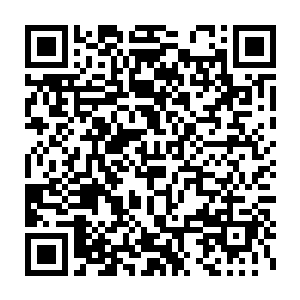 今天留在这里的客人全部都会住进方寸公司专门为他们准备的房间二维码生成