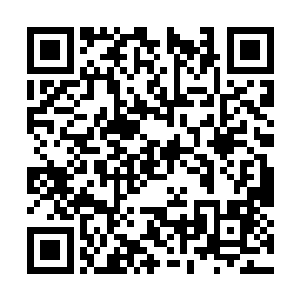 今天这个日子不舒服……那还真的还是会找时间了二维码生成