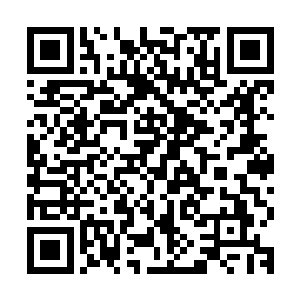 从双雄仙城到镇边仙城这条路上的所有仙城掌控权归我们巨人族二维码生成