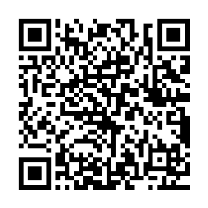 从炼丹师公会的人和其他大势力的人前往破碎之域就能看的出来二维码生成