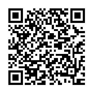 从hk投资公司拿到的那些投资款每年的利息都是庞大的数字了二维码生成