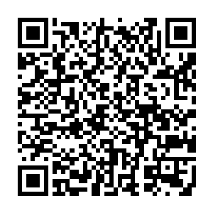 他不想让阮卿卿误会……他担心自己过多的关注会让阮卿卿误会他还对她有情二维码生成