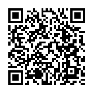 他们一个刚刚建立不久的冒险团有什么资格受到木盟主的邀请二维码生成