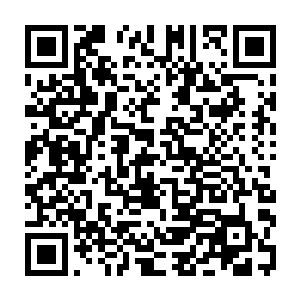 他们两个此时竟然发现他们在这方大陆上存在了亿万年的地位似乎受到了挑战二维码生成