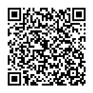 他们也尽自己的最大能力去阻止音乐舞蹈学院队的队员把球发出去二维码生成