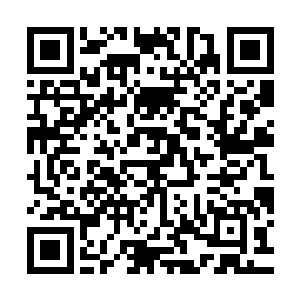 他们可以很自豪的和后辈子孙说他们曾经和楚暮乘坐过同一条船二维码生成