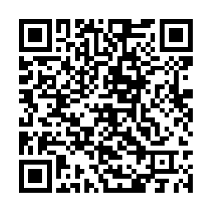 他们想要翻越过去也仅仅只是瞬息之间的事情罢了二维码生成