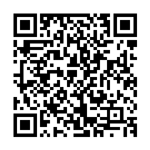 他们感觉到蜂卫异常的嗡嗡声才发现那矮人老太从笼子里出来了二维码生成