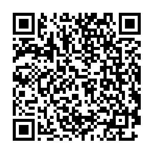 他们来这里轮班的薪水肯定是固定的也就是说没有什么额外的油水可捞二维码生成