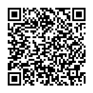 他们竟然在短短数日的时间内就从天空圣师以及圣王境界一举突破至圣皇二维码生成