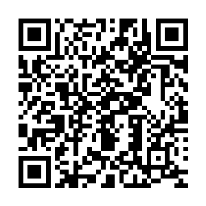 他们觉得温润的皇上和儒雅的安国公肯定教不出来这样的孩子二维码生成