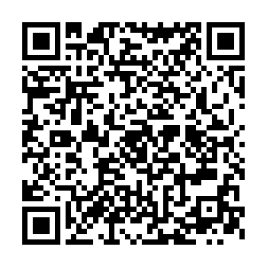 他们谁也没觉得哪个脑残了的世家家主除非逼不得已还会投靠墨景黎二维码生成