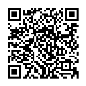 他们还会建设三到四个年吞吐量两千万吨到五千万吨的货运码头二维码生成