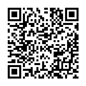 他们都不能让对方得到这件能够决定这第四区域战局胜负的至宝二维码生成