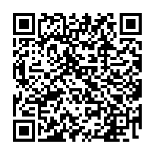 他体内那得到了盘古血气强化的春秋蝉基因也是爆发出了强大的力量二维码生成