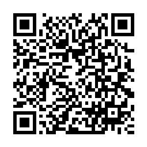 他允许越南北部的gcd在柬埔寨的土地上建立他们的革命根据地二维码生成