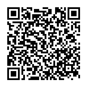 他刚刚所凝聚出来的三条元素巨龙可不仅仅只是表面上看起来那么简单二维码生成