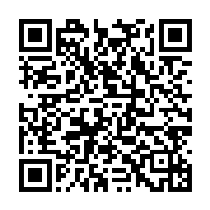 他只需要保证徐清尘最近三五年内不会乱跑就好了二维码生成