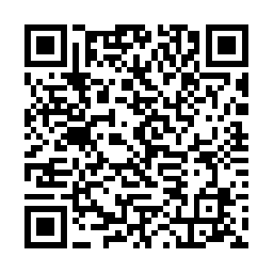 他可是有机会成为天元大陆上金字塔顶端的那些人的二维码生成