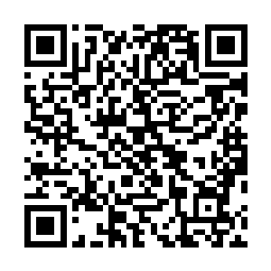 他已经预想到面对木鼓卜域这一战会是怎样凄惨的结局了二维码生成