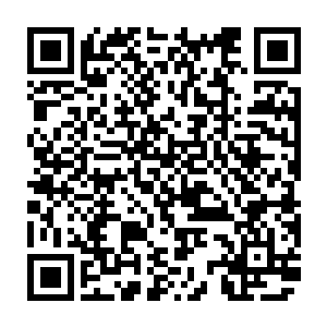 他手下的三大战将之一的小红毛又怎么可能会是大家平时所看到的花架子二维码生成