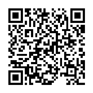 他捧着她的小脑袋在她的额头上重重地吧唧了一个脆响二维码生成