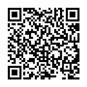 他曾担心洛潮会被他的手段以及机甲师那种痛苦的反应给吓坏二维码生成