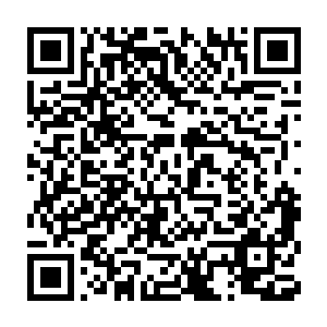 他最不喜欢的就是那种一上来就发誓要誓死效忠九鼎门天荒地老的二维码生成