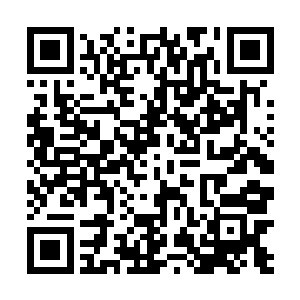 他期望海洋馆能够成功的取代方寸公司在祝南镇的地位二维码生成