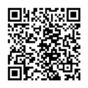 他竟然将这条珍贵的金皇冠黑白魟狠狠的朝着地上一摔二维码生成