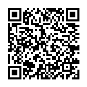 他脑海里想着如何去虚天宫查探虚天子最近在忙什么二维码生成