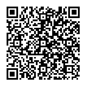 他说要是我不信可以叫他们一起下来把他们的精灵宝钻释放出来给我当时只要我说要二维码生成