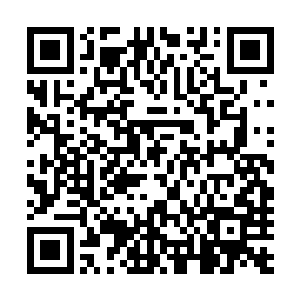 他身上的气息竟然不仅没有因为他深受重创而变得虚弱下去二维码生成