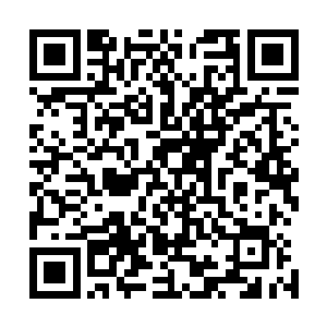 令孙子轩除了肩胸腹部的那道看上去就令人胆寒的伤口之外二维码生成