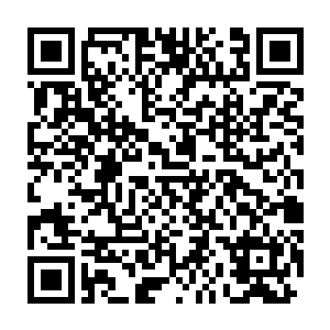 以他的见识不会不知道这时候全军退回铜头关据守才是最好的方式二维码生成