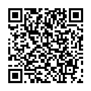 以及从云东市邀请来的领导都被安排在了主席台的第一排二维码生成