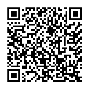 以至于让他不由自主地记起了那日在布满了法阵的偏殿中相见之时二维码生成