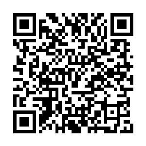 任何一座阵法都要吸收足够的力量才能施展攻击二维码生成