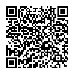 仿佛是充满了负面情绪的可怕力量也开始顺着他的掌心向他体内蔓延二维码生成