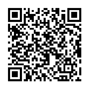 仿若下一刻便会将天狼族的当代族长和少主瞬间抹杀而去二维码生成