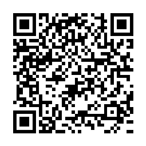 伍德蕾――――65――39―――100―――d+―――d+―――阿兰娜二维码生成
