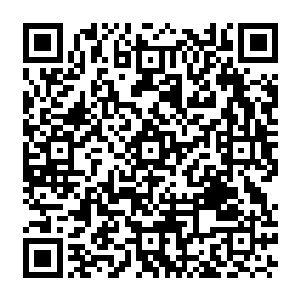 似乎刚才的那个瓶颈丝毫没有给它带来半点威胁和损失的……它以非常可怕的姿态二维码生成