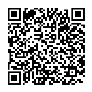 似乎只是在回想摆在陆平面前的这些剧本里到底有没有都市爱情片二维码生成