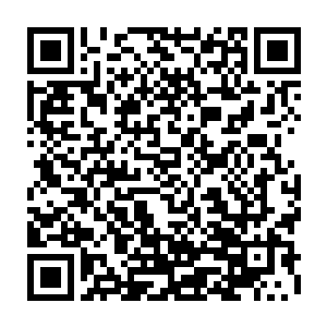 但实际上他完全不相信荣光的身体在和爷爷在一起进行了一个月的特训后二维码生成