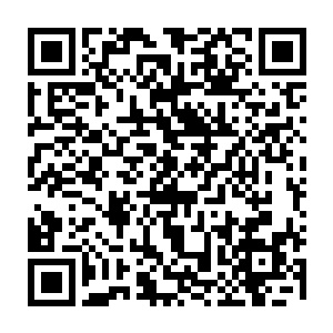 但是你也要知道……我其实在画里面已经修炼了十多年才能够达到这个程度二维码生成