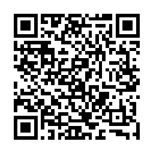 但是对于洒迭和流墨墨他们的关系她依旧有点儿摸不清楚二维码生成