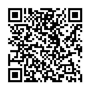 但身后那汹涌的人潮就好像是随时都会崩塌下来的巨浪一般二维码生成