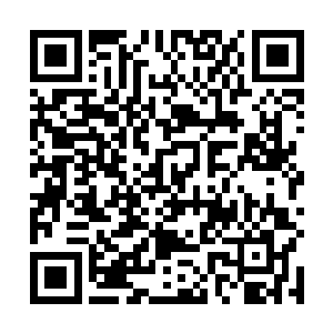 但通过检查发现陆怀秋的病情已经演化到了亚急性阶段二维码生成