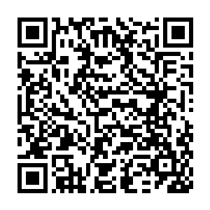 但陶正天同时应付剑尘和努比斯的圣阶战技攻击依然显得非常从容二维码生成